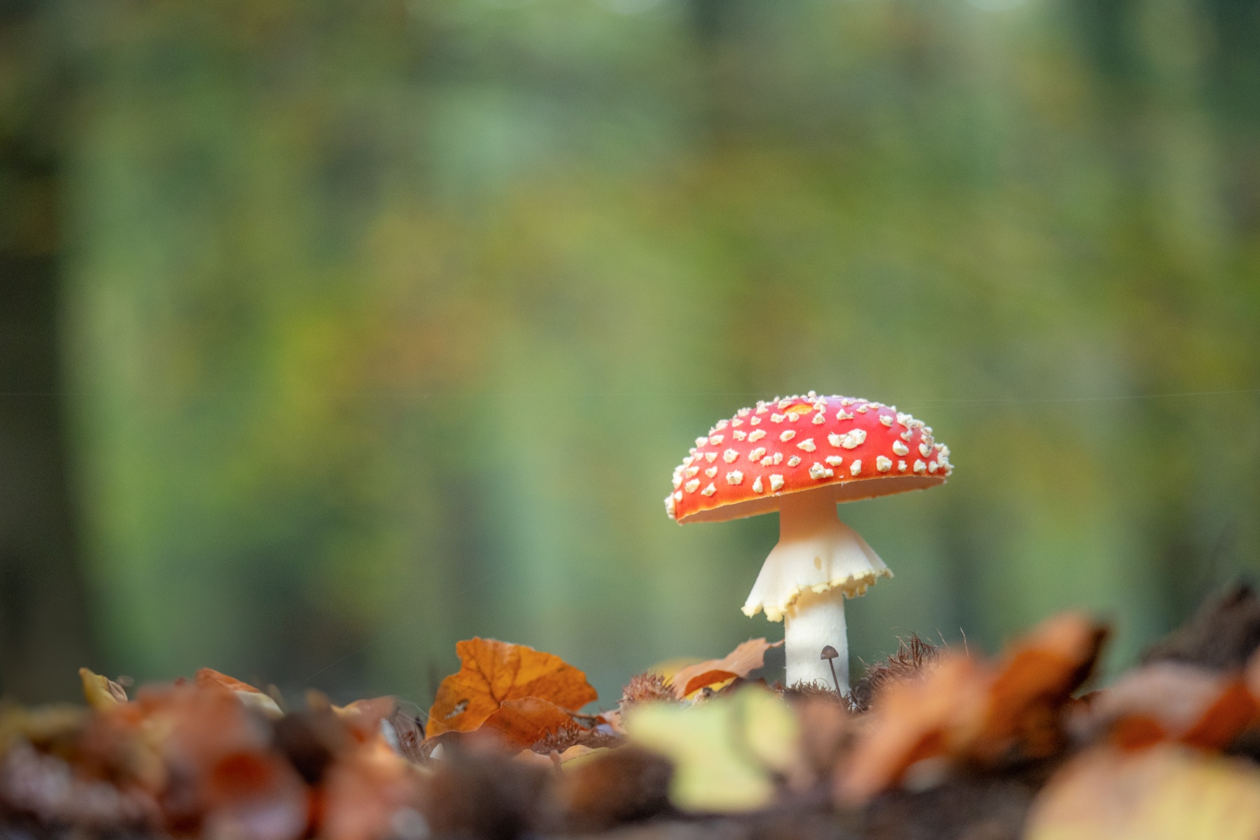 EA230187 768E 4057 A864 8DBF806FD38A