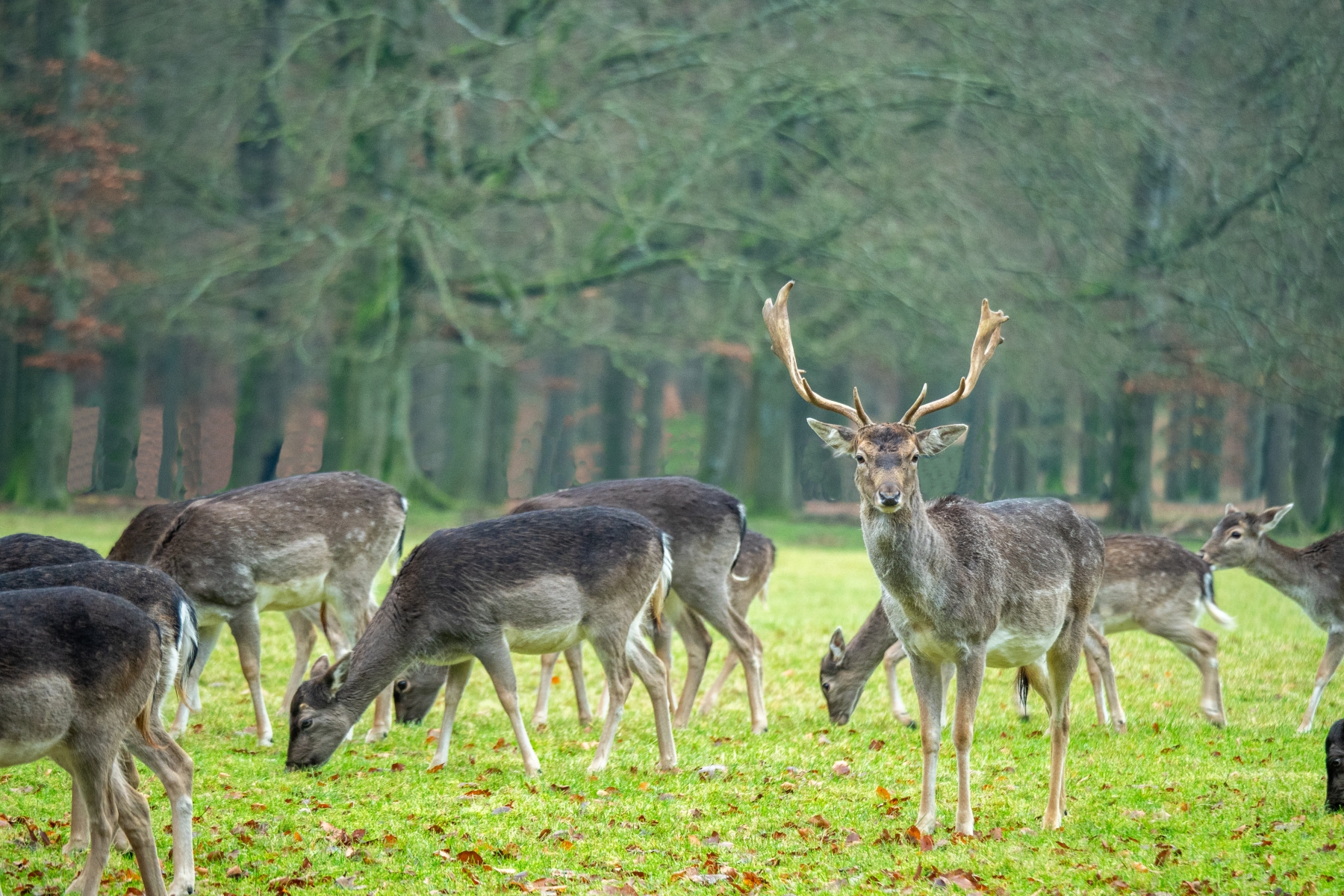 F628F0C7 9116 4E72 AADC 28039292E6E7