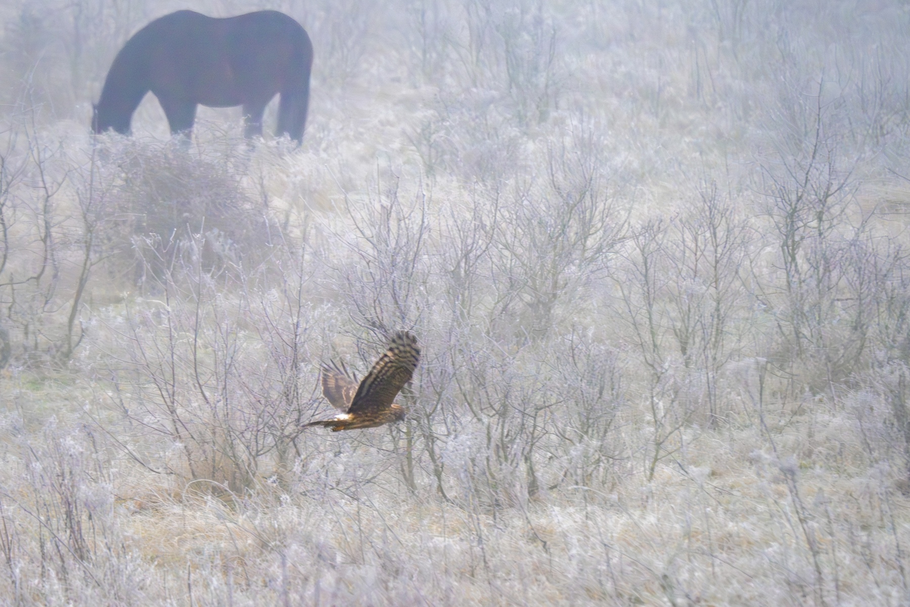 PC280119 Verbeterd NR