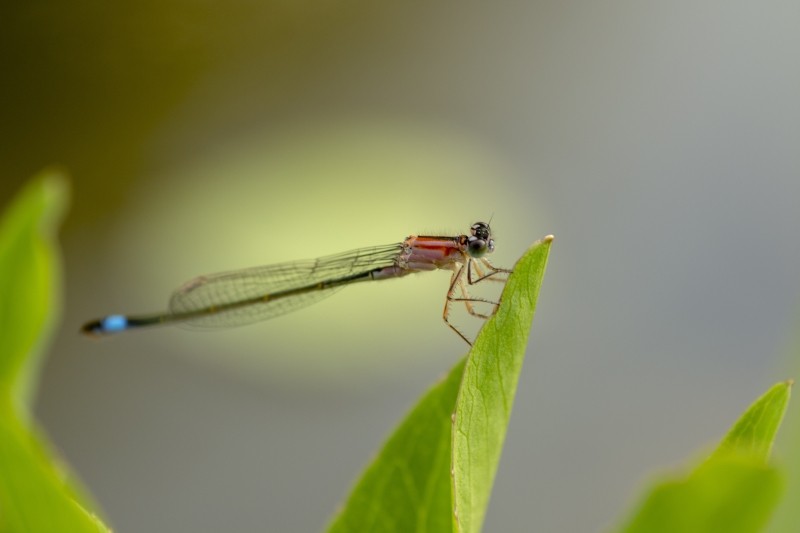 1D4501EF 864D 4407 9A10 A8E3B2D6BC02