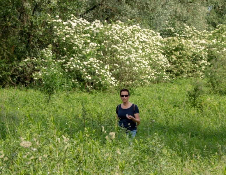 20180527 IMG 0028 Kopie