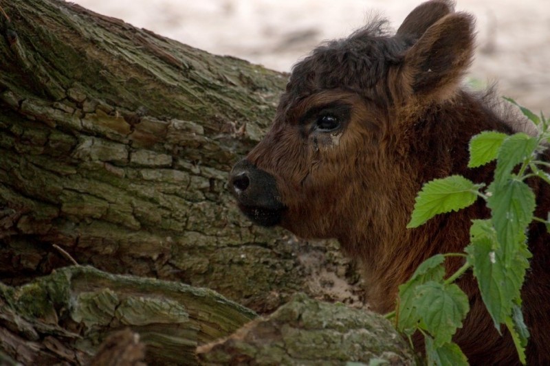 20180527 IMG 0086 Kopie
