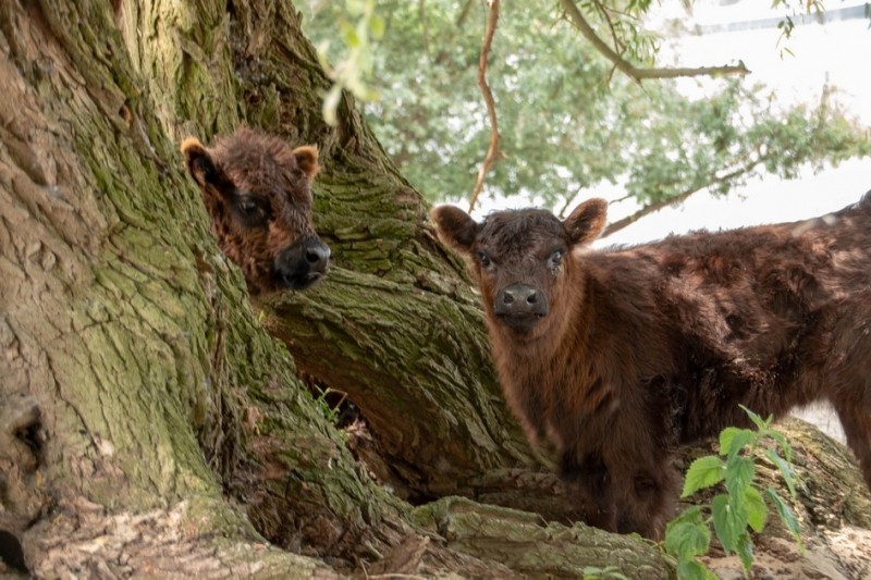 20180527 IMG 0095 Kopie