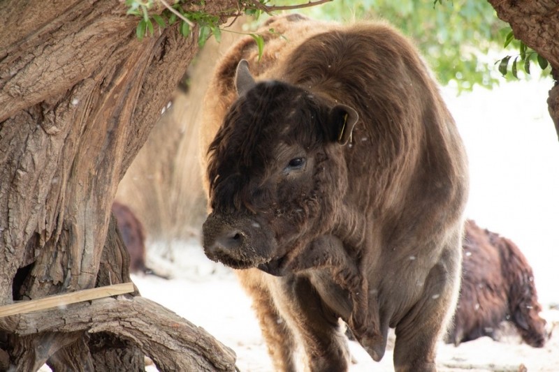 20180527 IMG 0105 Kopie