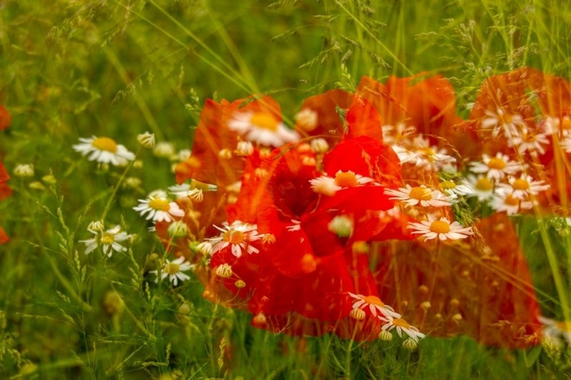 20180527 IMG 0129 Kopie