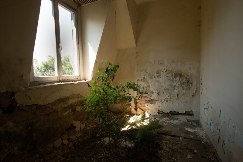 20180630 IMG 0062 bewerkt Kopie