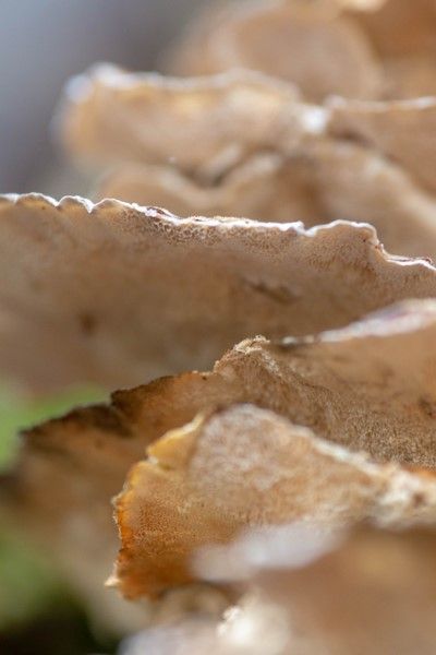 20181118 IMG 0423 Kopie