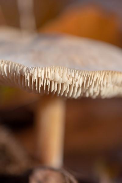 20181118 IMG 0449 Kopie