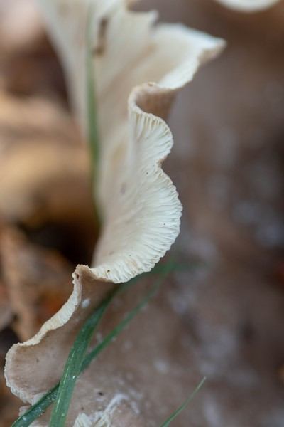 20181118 IMG 0474 Kopie