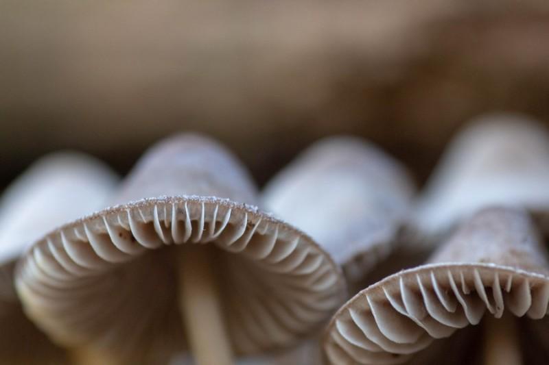 20181118 img 0415 kopie