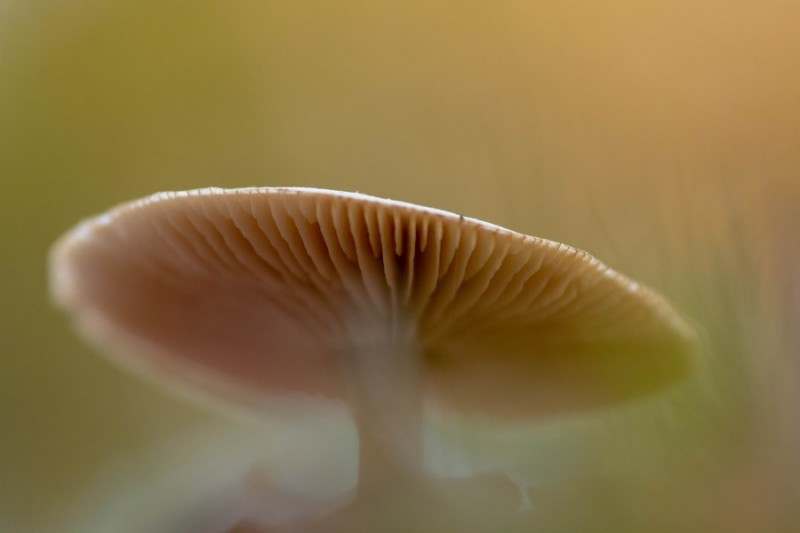 20181118 img 0435 kopie