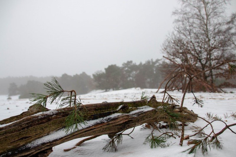 20181216 IMG 0009 Kopie