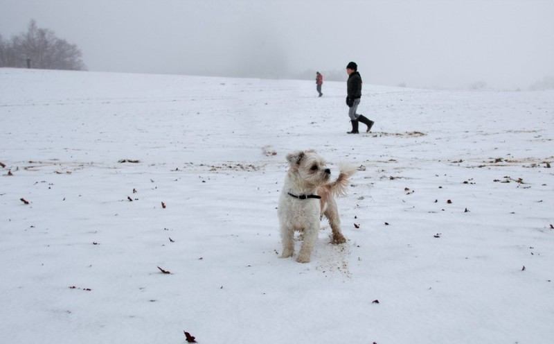 20181216 IMG 0011 Kopie