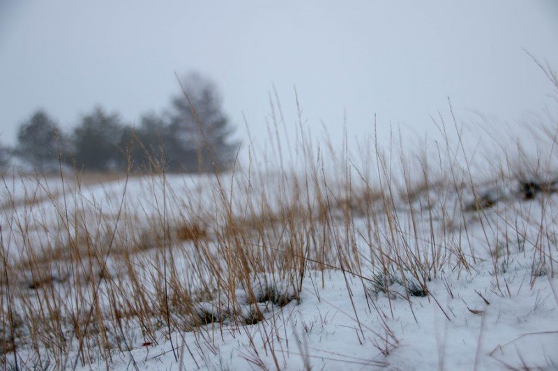 20181216 IMG 0025 Kopie