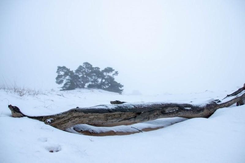 20181216 IMG 0036 Kopie