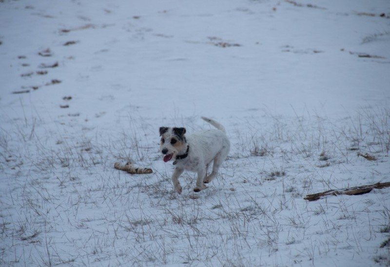 20181216 IMG 0062 Kopie