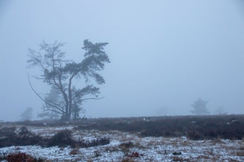 20181216 IMG 0122 Kopie