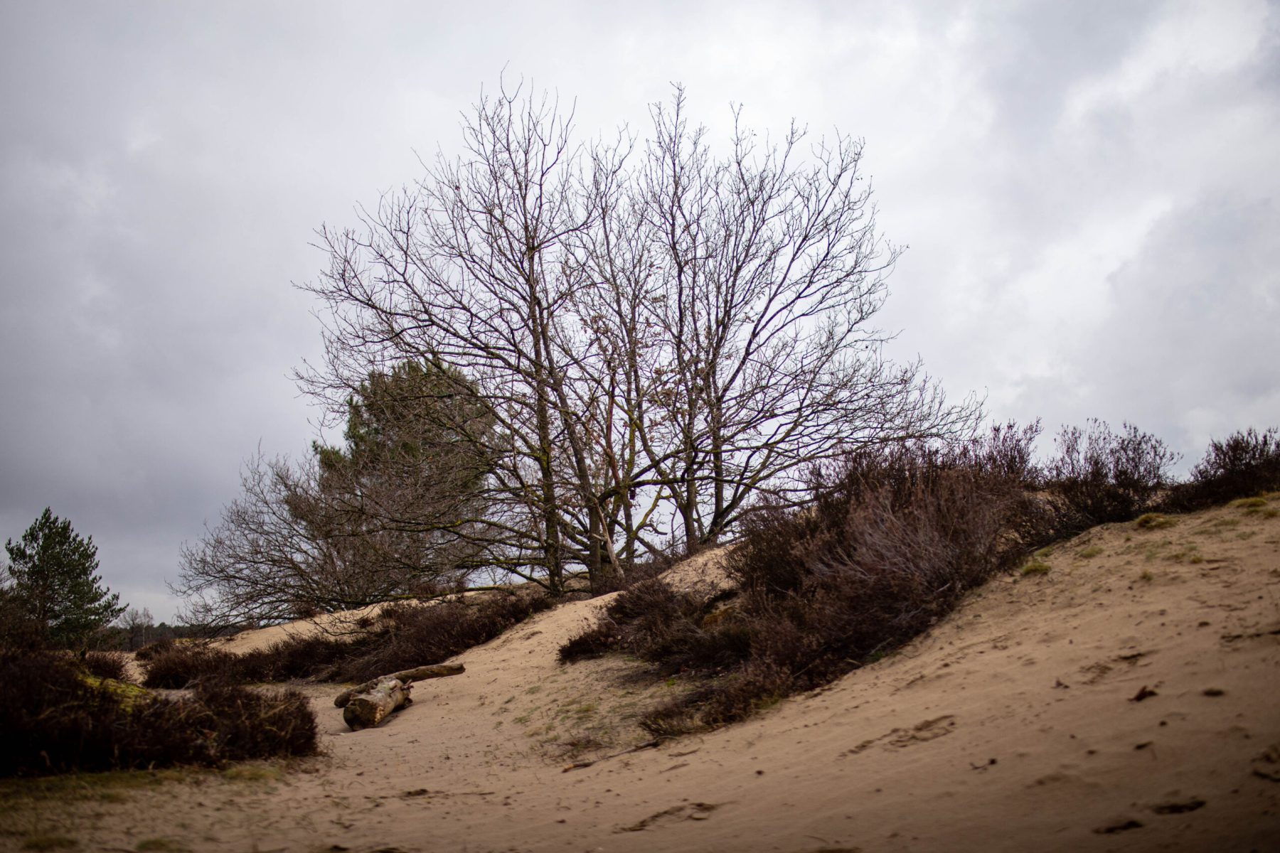 20210314 IMG 0026 2 scaled