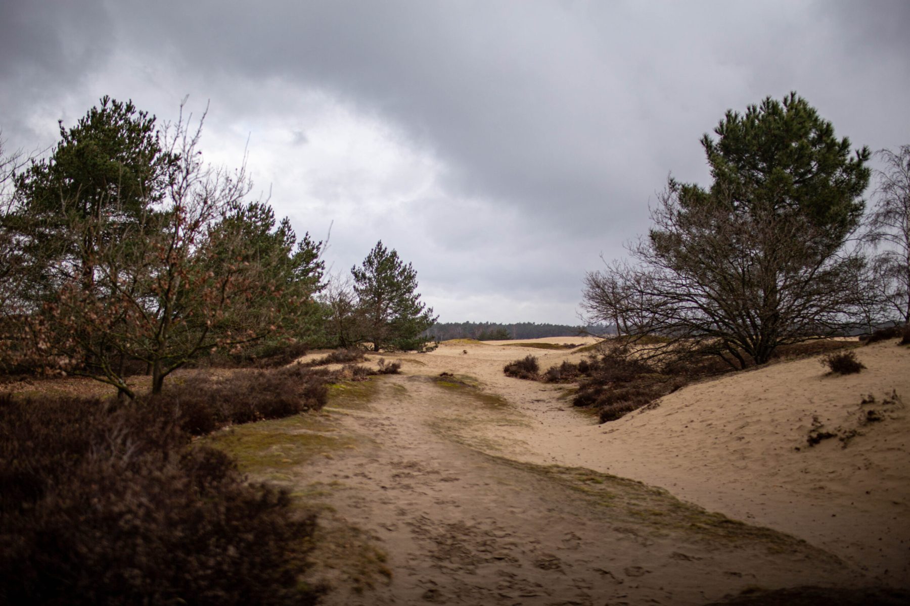 20210314 IMG 0028 2 scaled