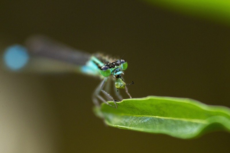 6BDA47F3 D00D 4CB7 A677 E1B4A4B634D5