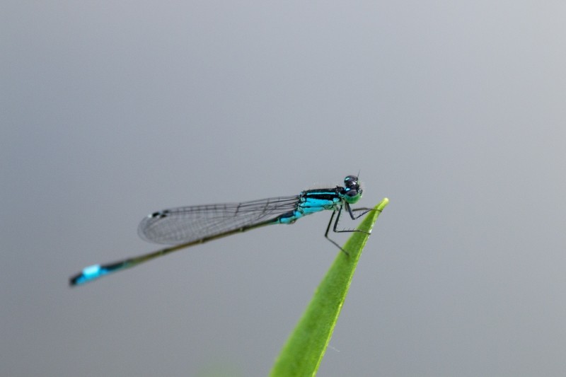 7569AC7A FC3F 4CBF 9049 C12E505164F0