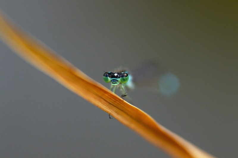 9D8F7194 CBB6 4DDF 862E 150513287BC0