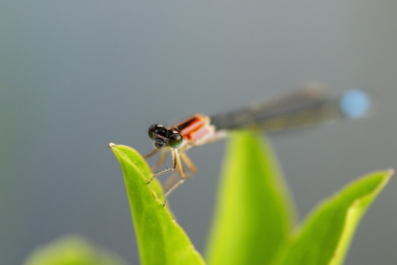 AE7E2E38 A500 4EFE AB2F 5A65ED5CEE0A