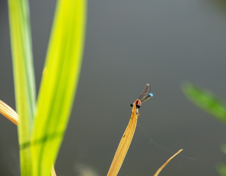 B7764F4B F447 4815 8DB4 D5D870287F2B