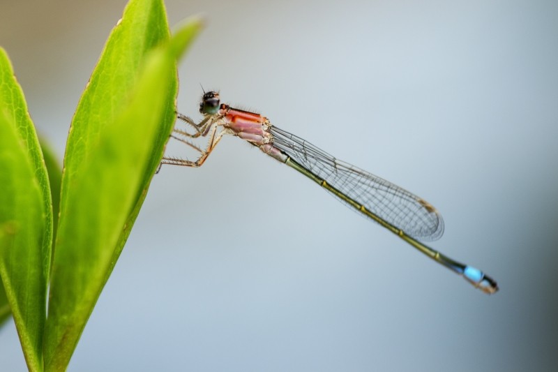 E660C55B 6707 48F3 906A 6D69E3299BF5