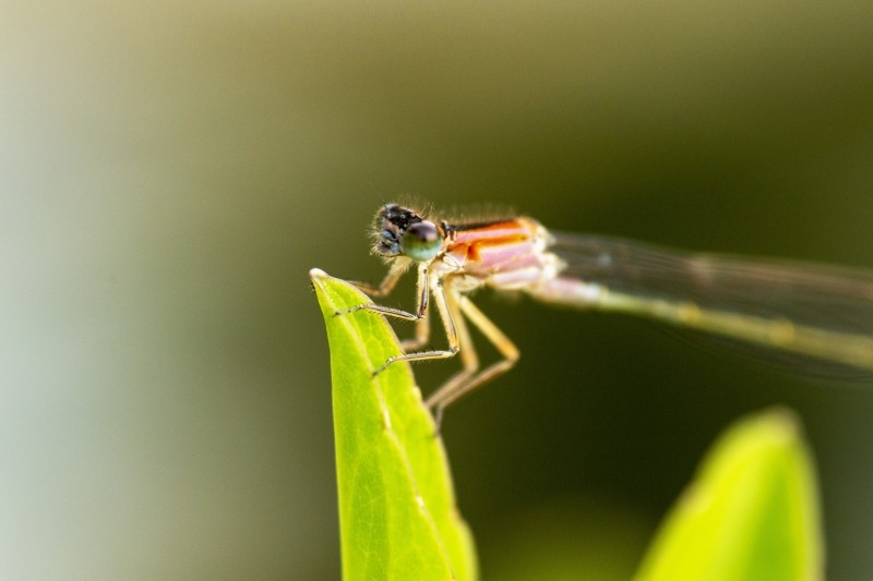 F00E9C08 97C7 43B0 978A 13C0E325ED59