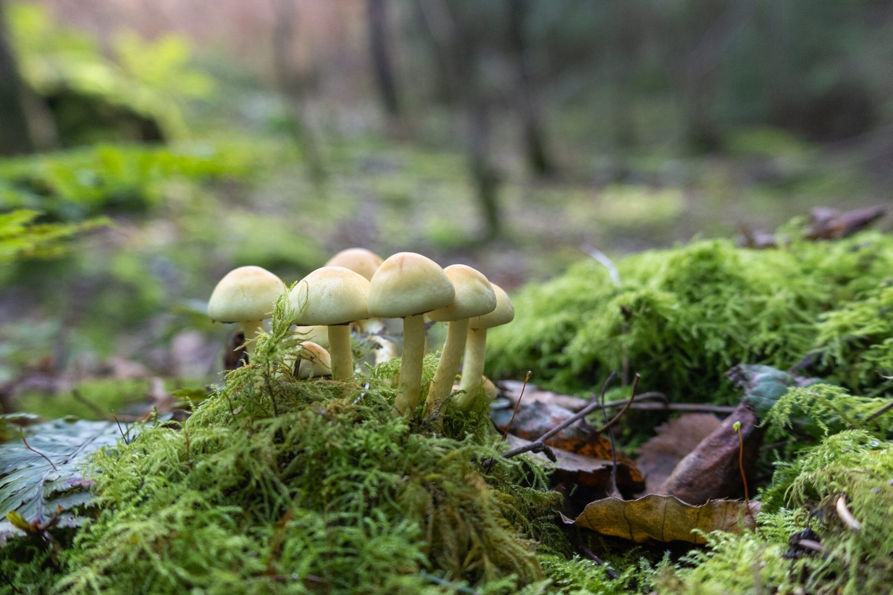 Ine 2023 10 18naamloos 39 scaled