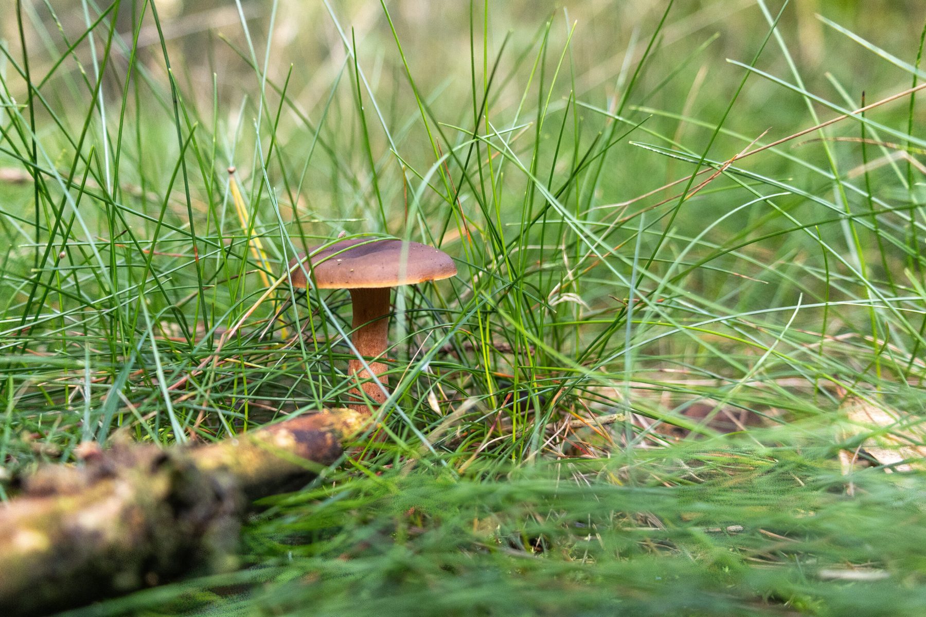 Ine 2023 10 18naamloos 45 kopie scaled