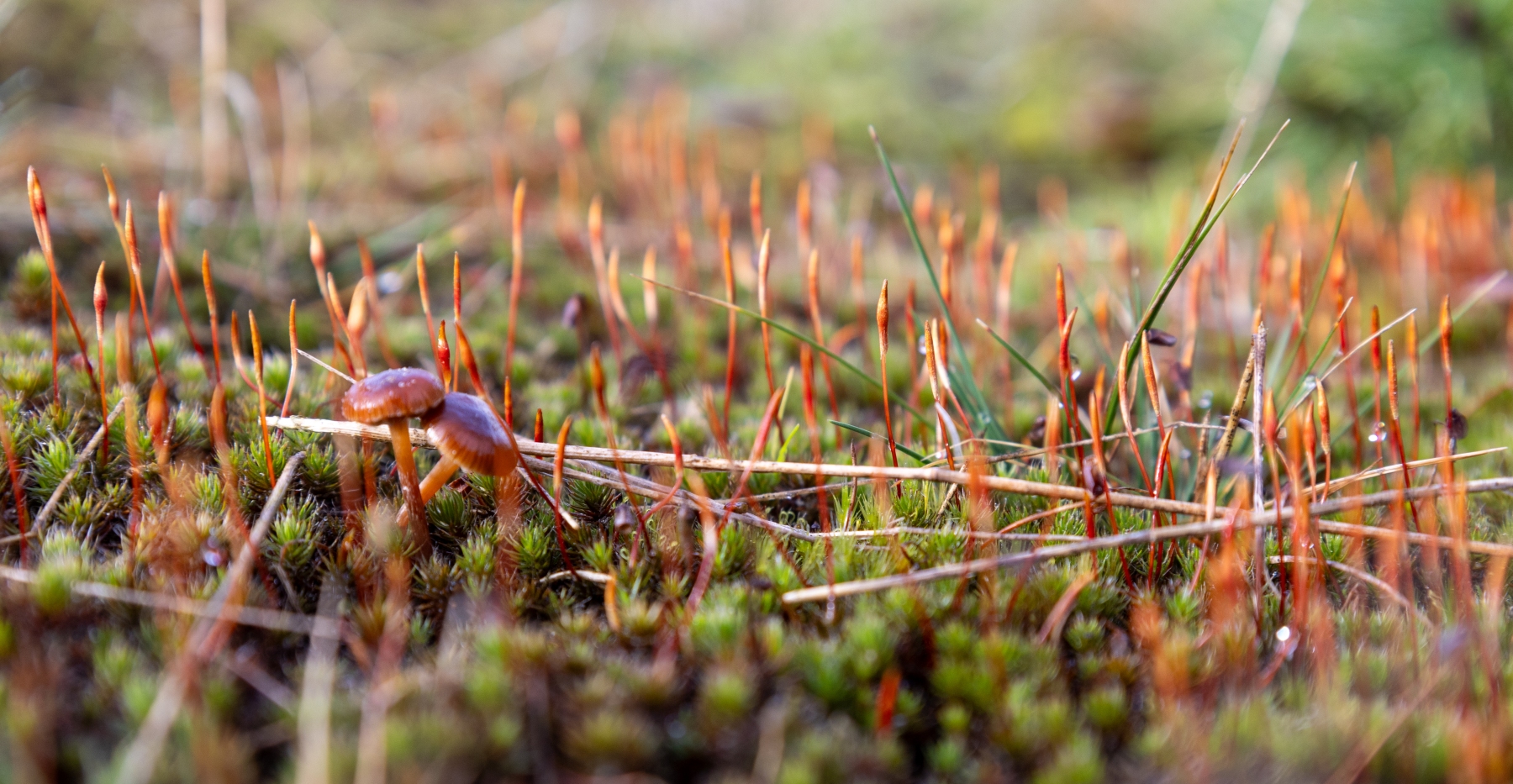 Ine 2024 02 25naamloos 108