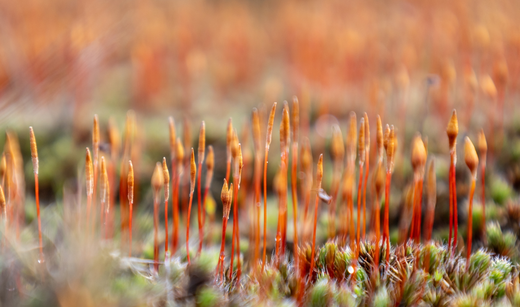 Ine 2024 02 25naamloos 26