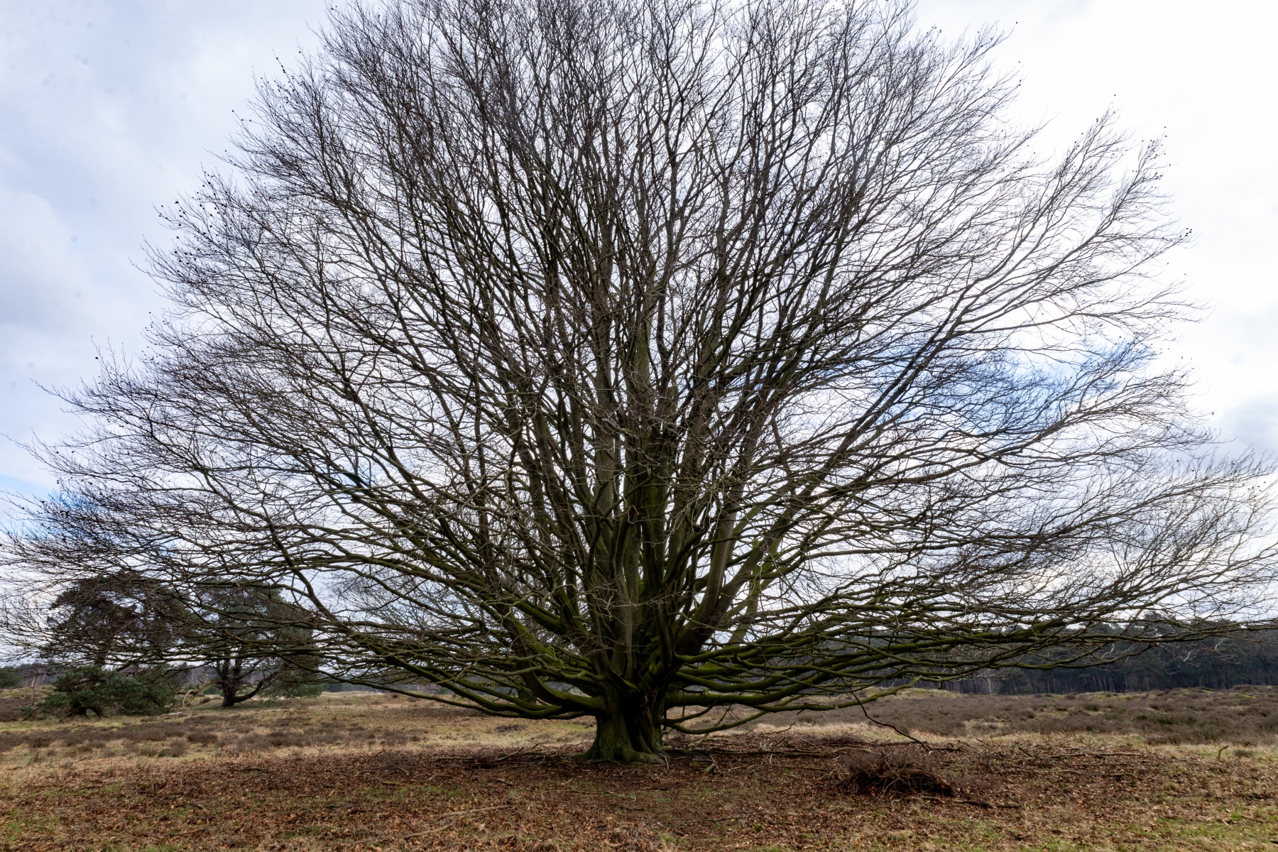 Ine 2024 02 25naamloos 45