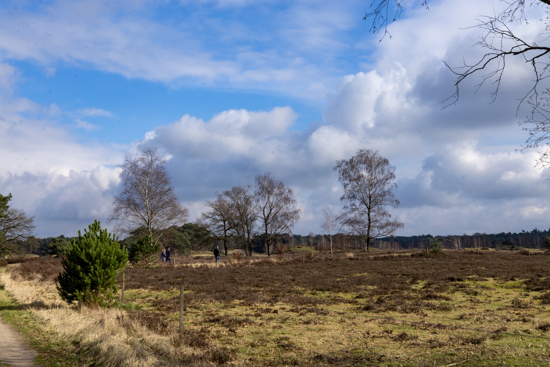 Ine 2024 02 25naamloos 5