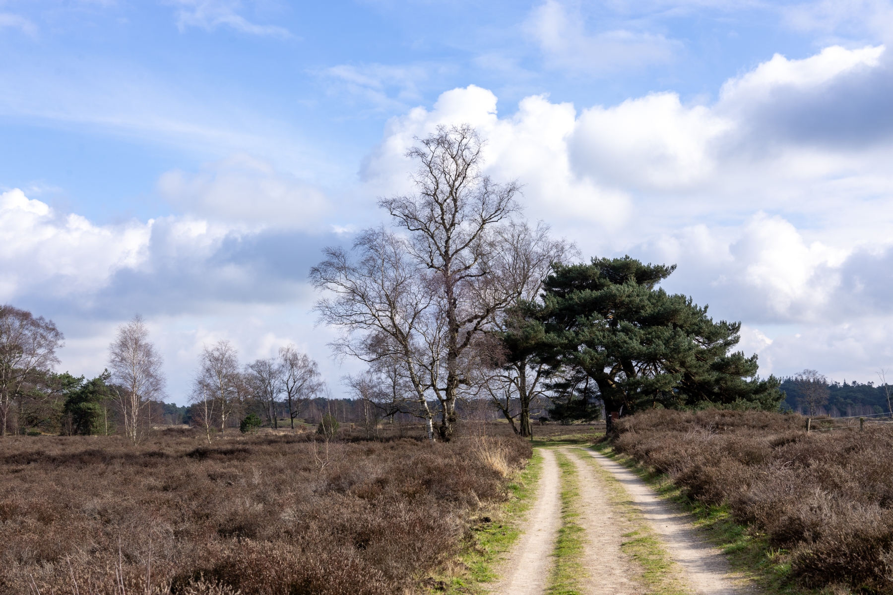 Ine 2024 02 25naamloos 57