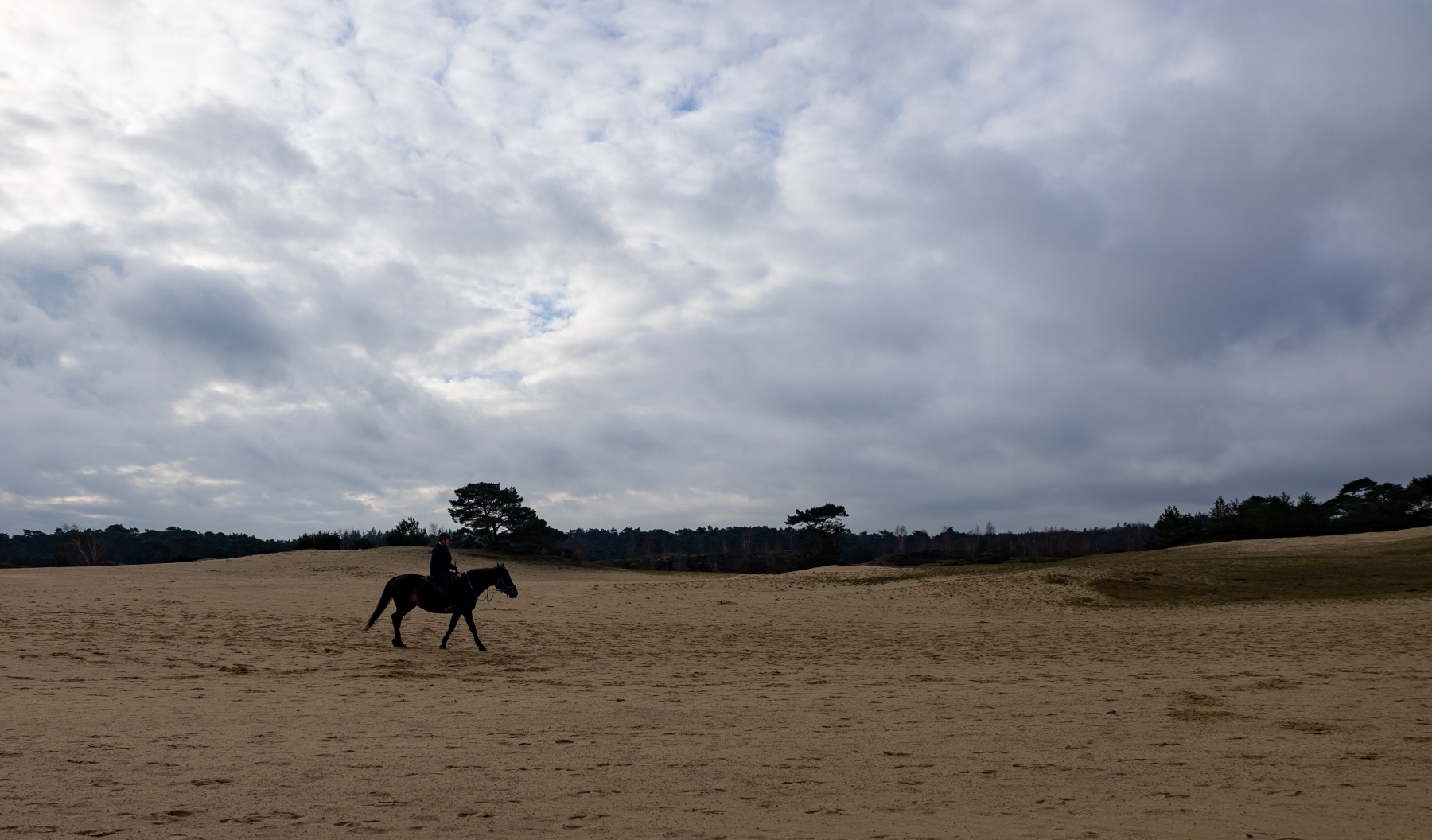 Ine 2024 02 25naamloos 64