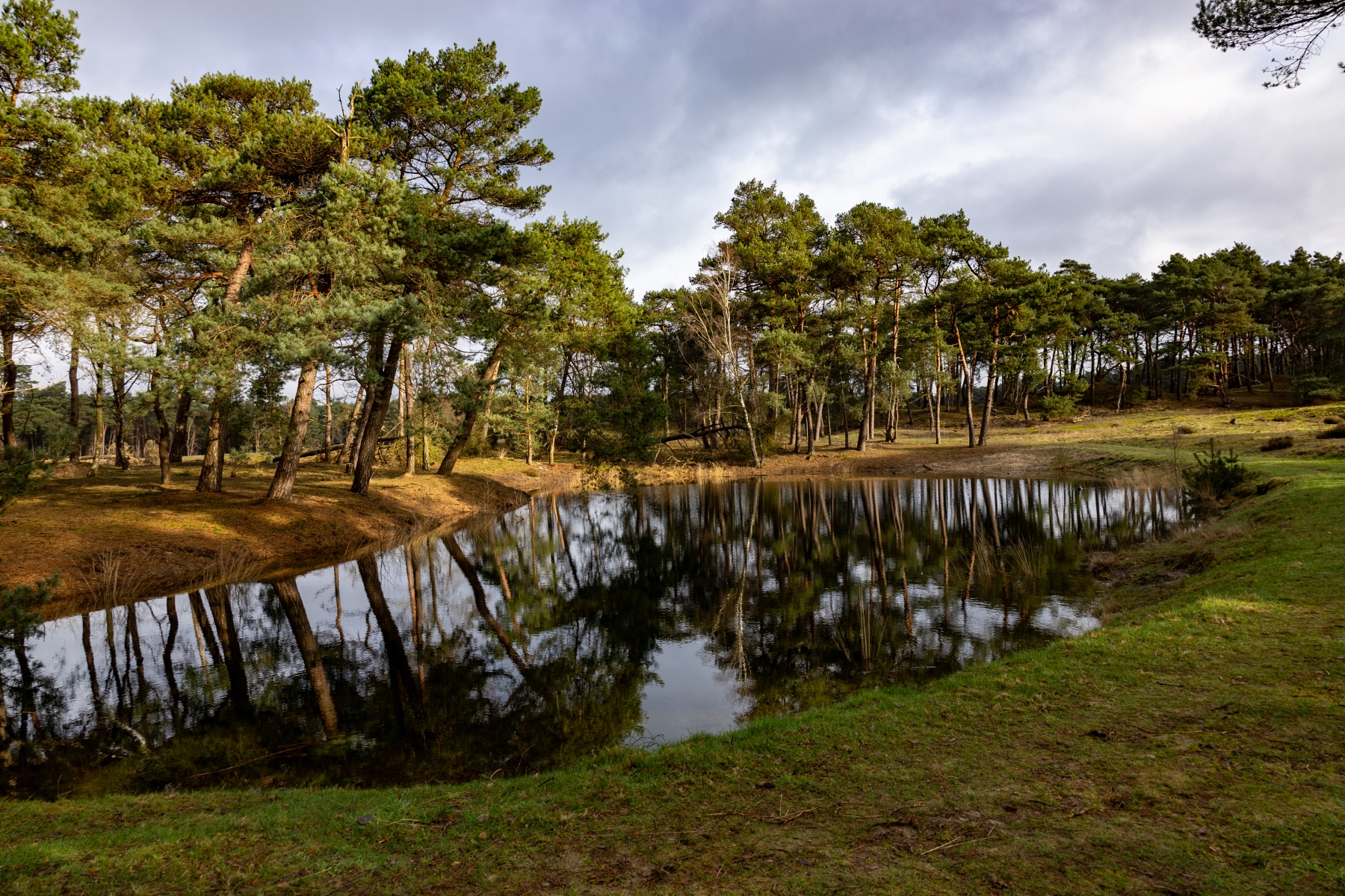 Ine 2024 02 25naamloos 8