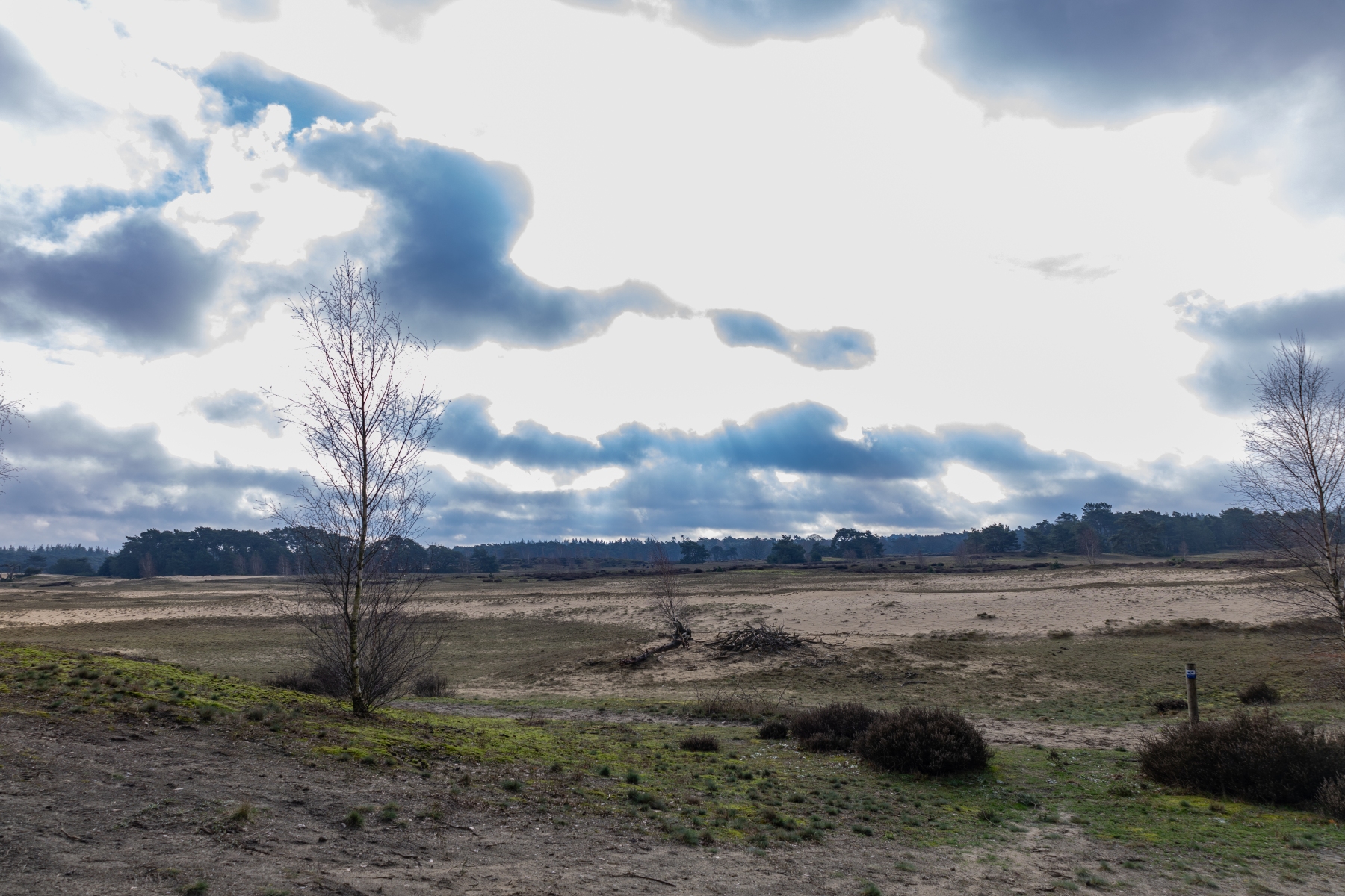 Ine 2024 02 25naamloos