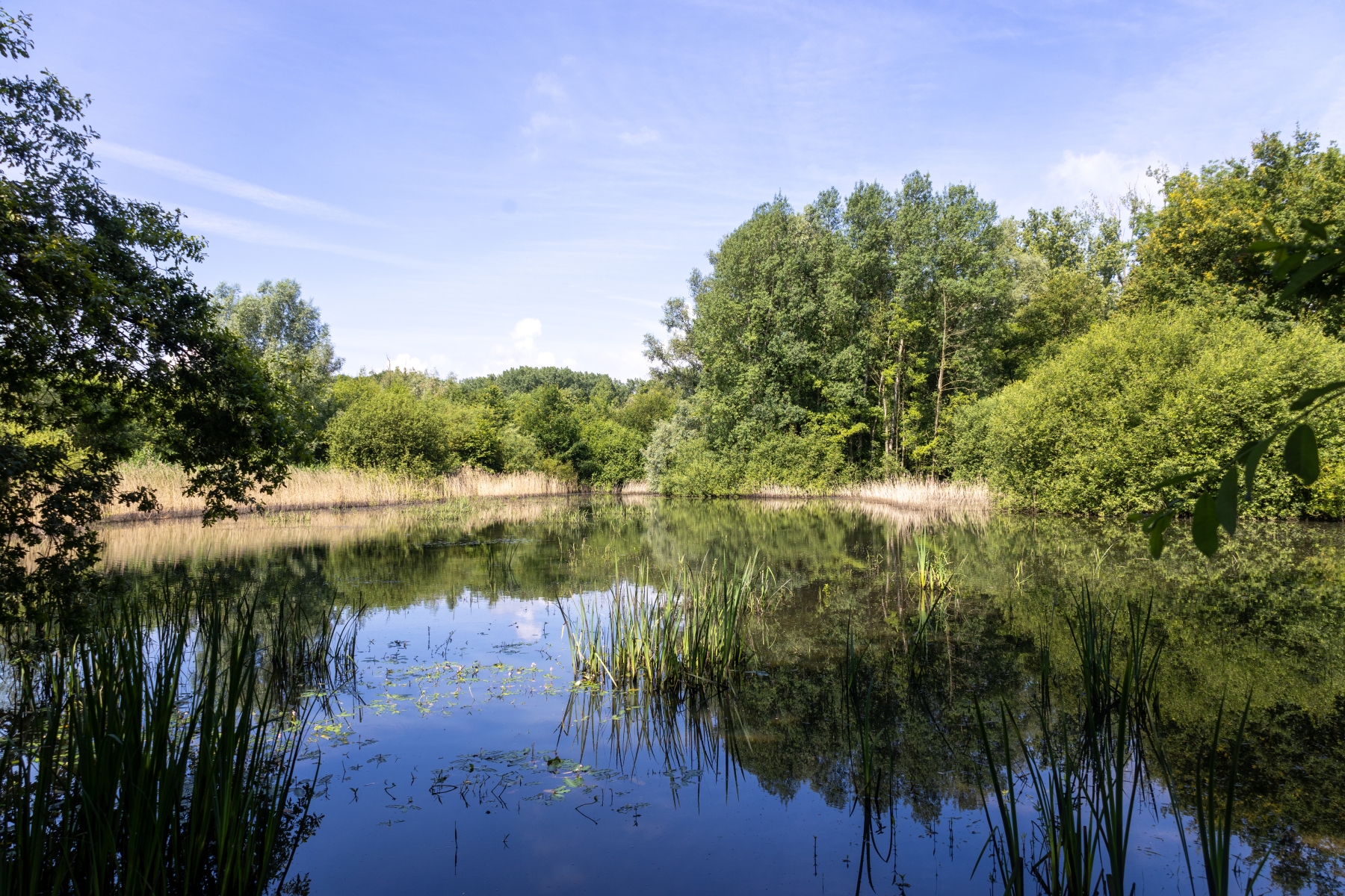 Ine 2024 06 23naamloos 33