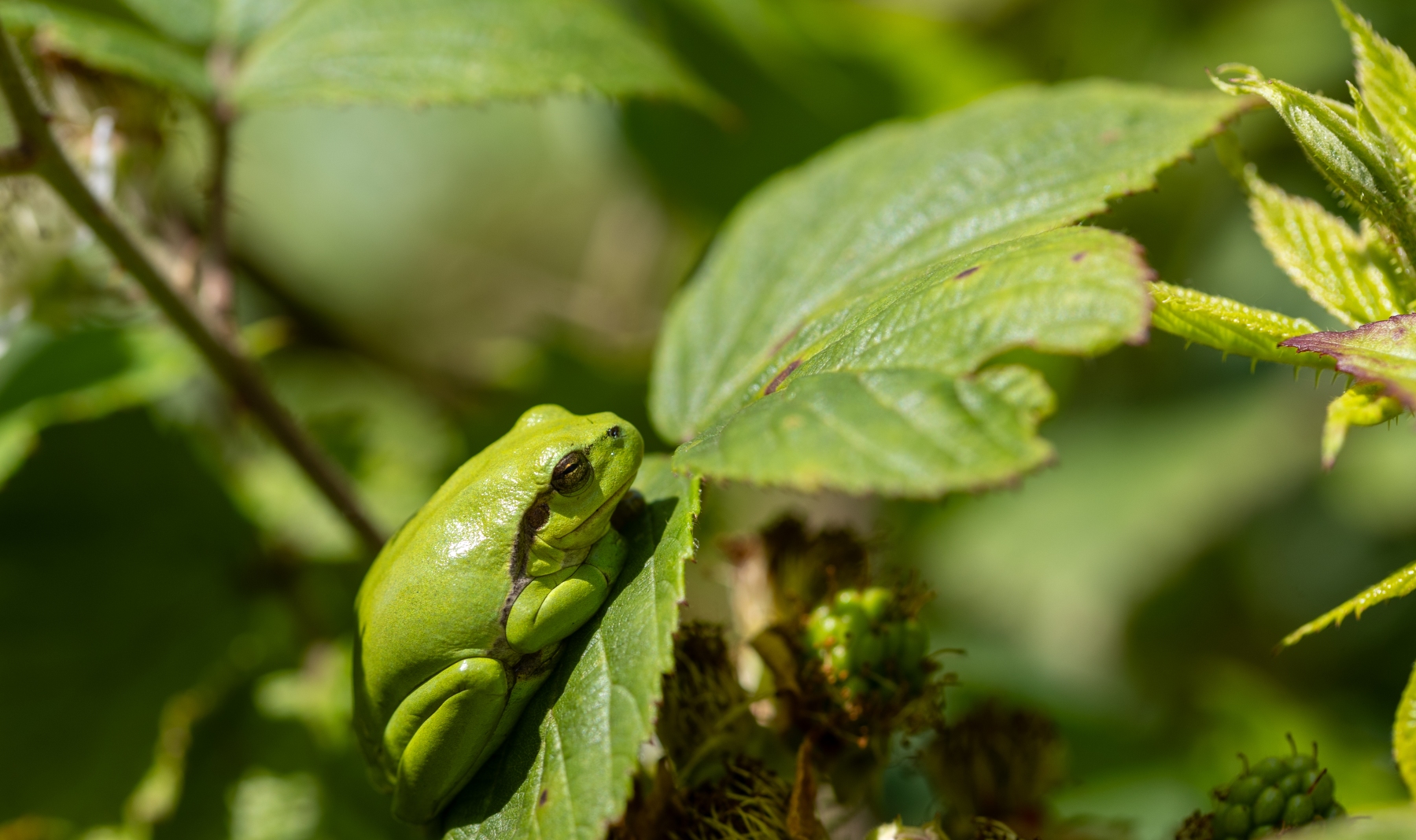 Ine 2024 06 23naamloos 48