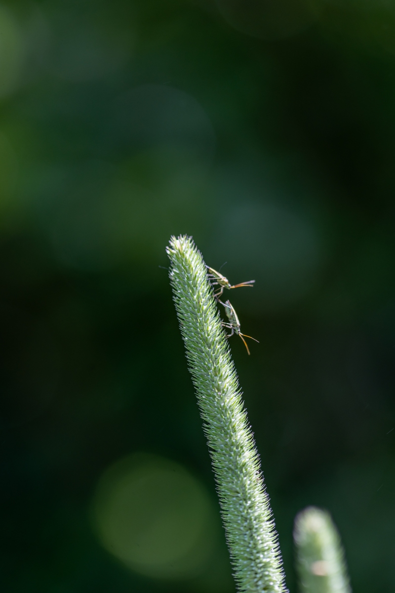 Ine 2024 06 23naamloos 77