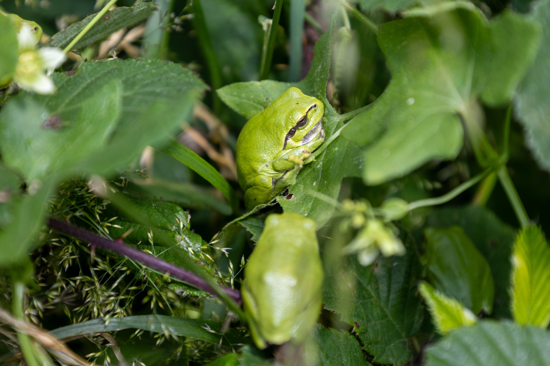 Ine 2024 06 23naamloos 93