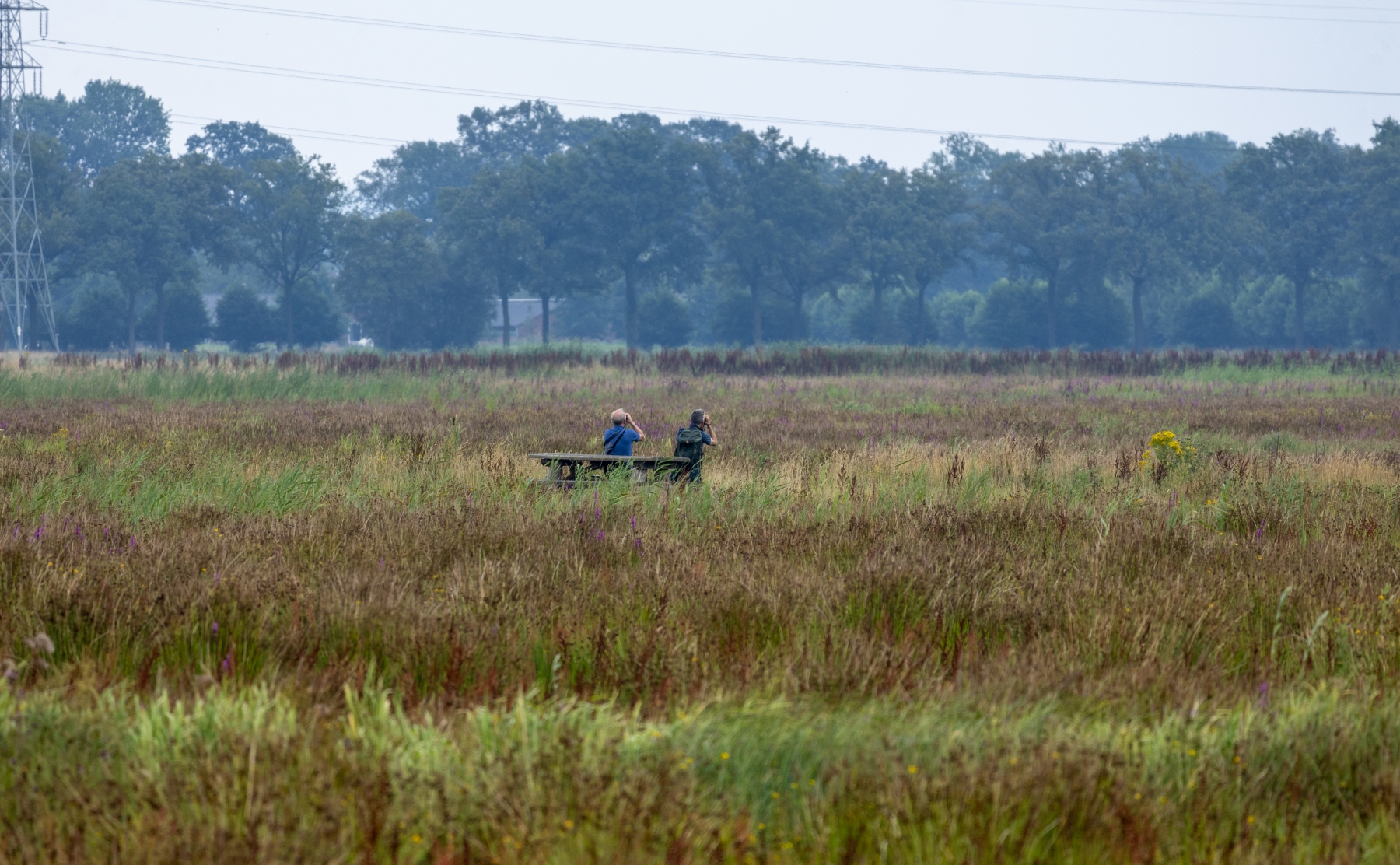 Ine 2024 07 21naamloos 111