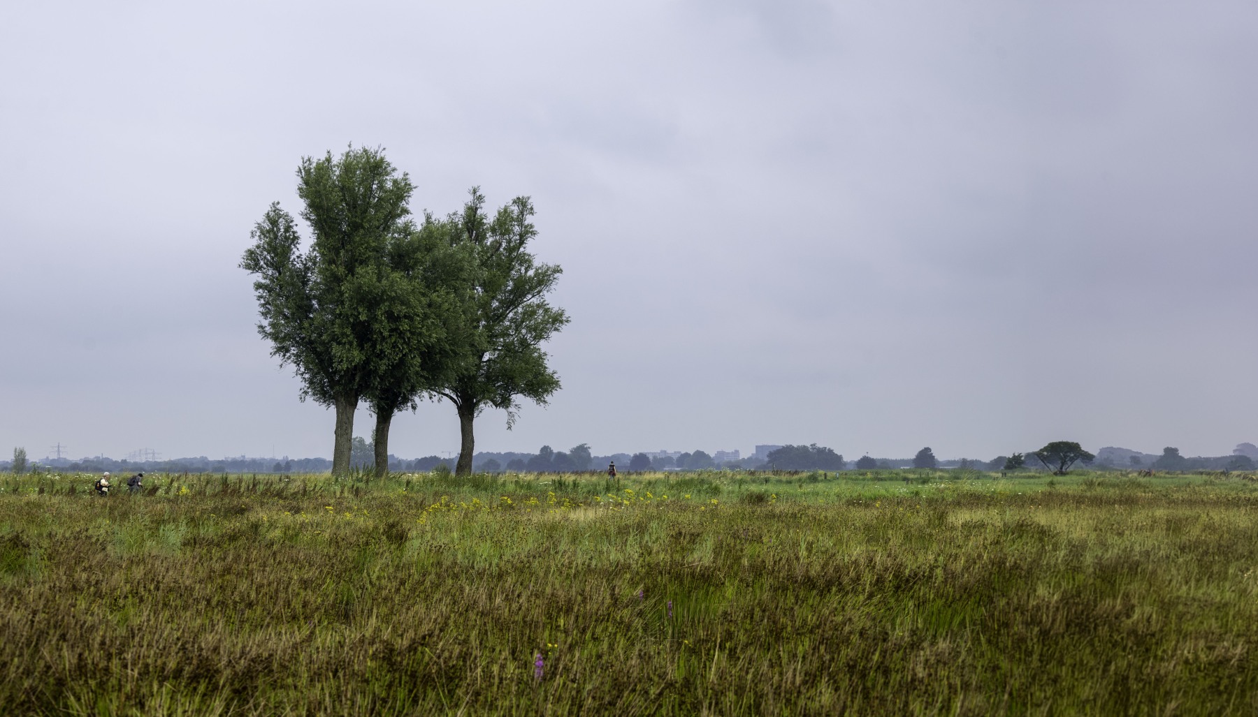 Ine 2024 07 21naamloos 7 bewerkt