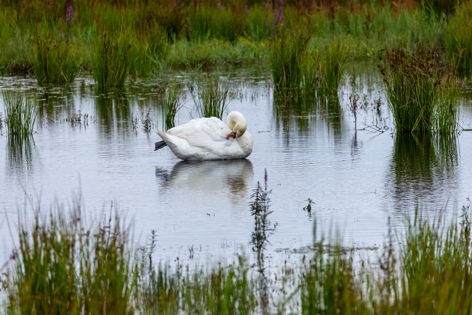 Ine 2024 07 21naamloos 74