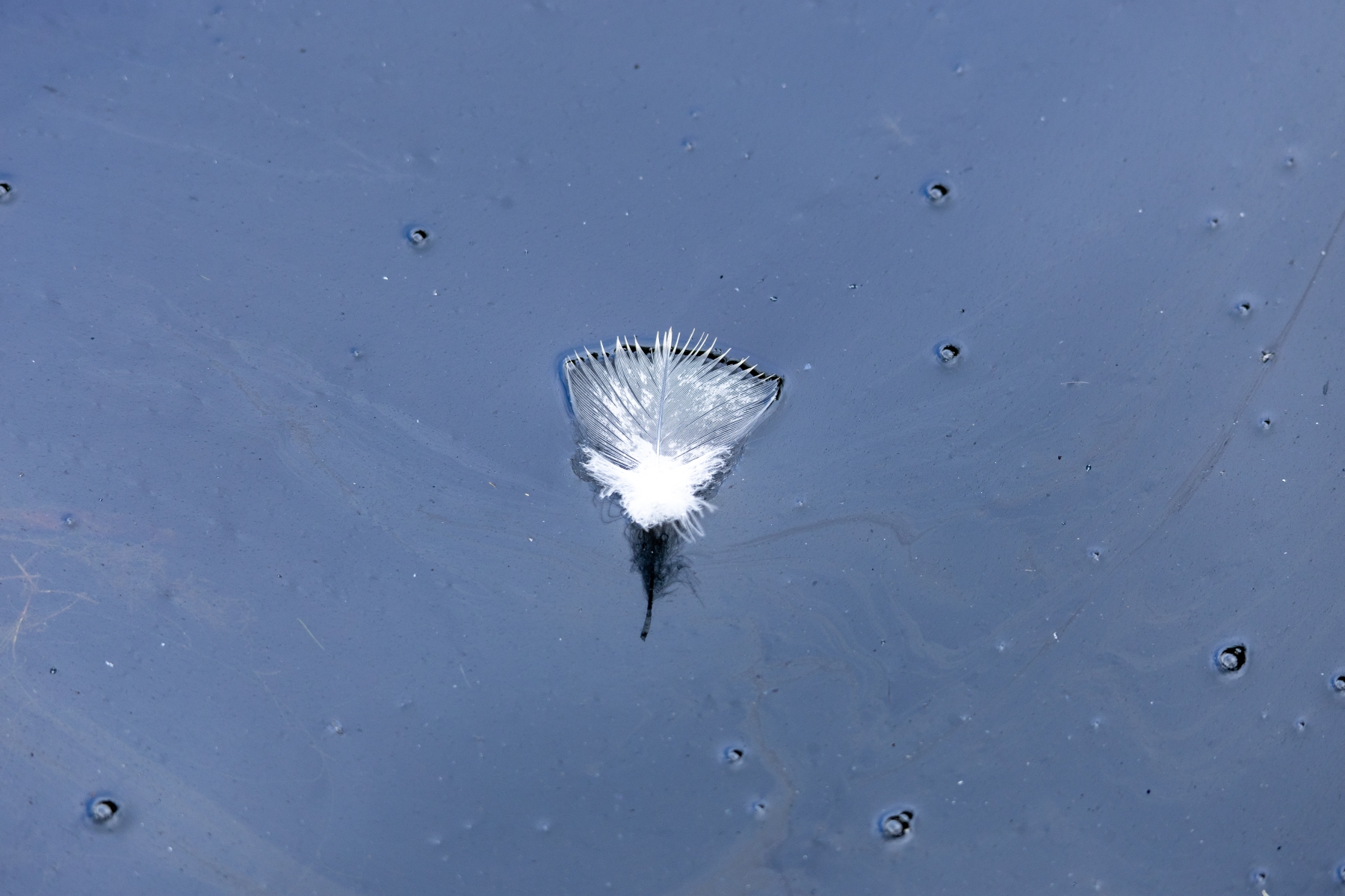 Ine 2024 07 21naamloos 99