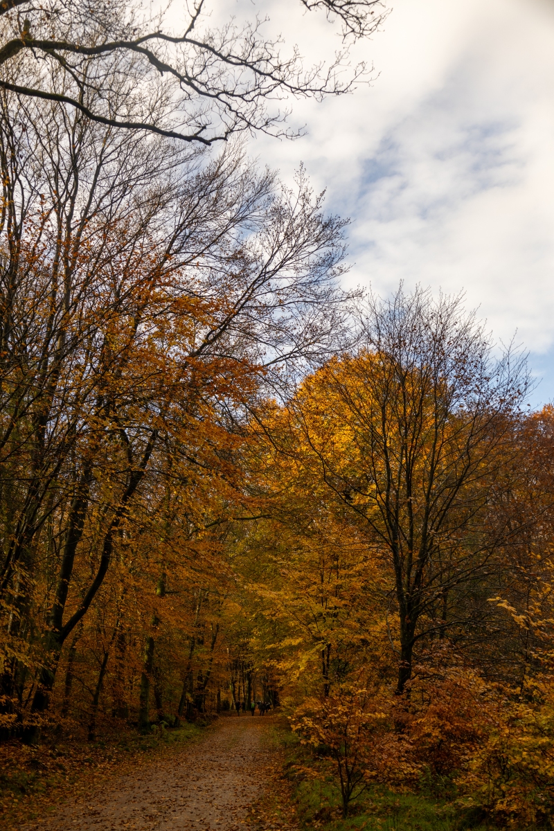 Ine 2024 11 17naamloos 63