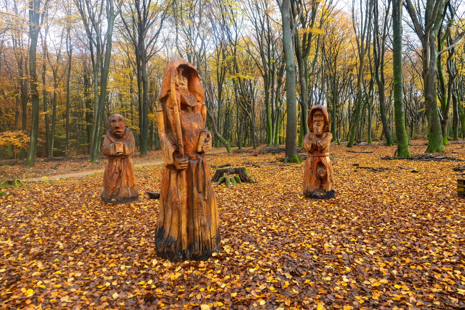 Ine 2024 11 17naamloos 84